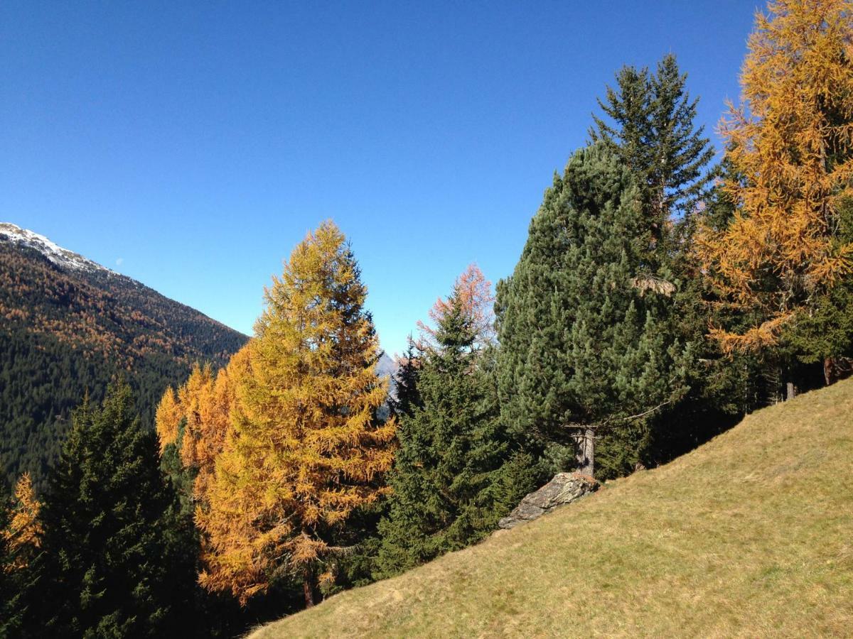 Chalet Del Bosco Valdisotto Kültér fotó